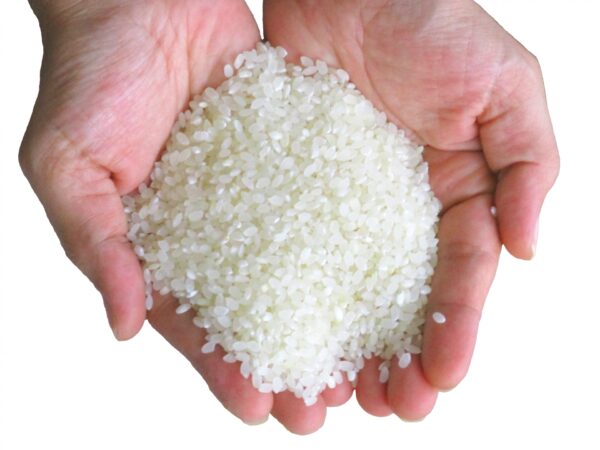 黒粘土白鷺米 5kg【精米】